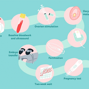 试管婴儿助孕的7个常见术语